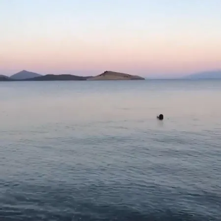 Atalay 아파트 Bodrum